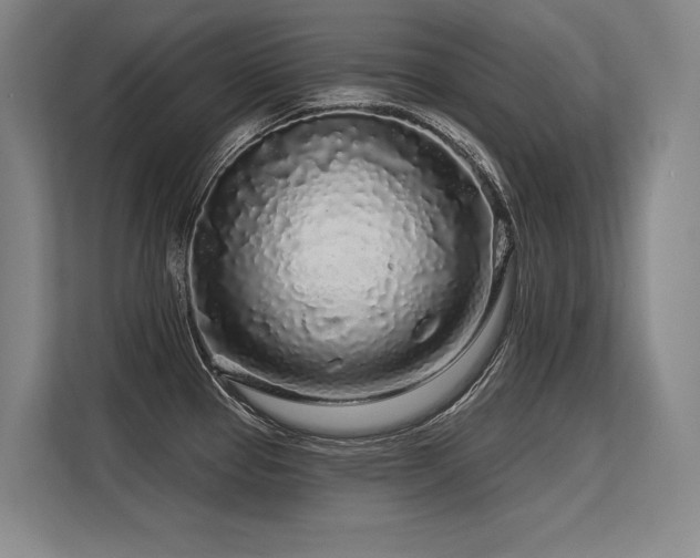 X0000113581337200909181259