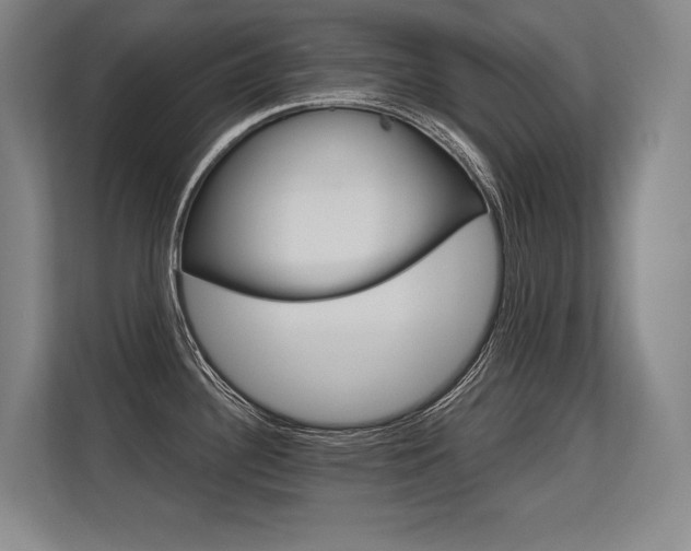 X0000113581340200909181259