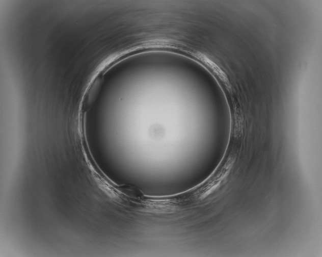 X0000113581342200909181259