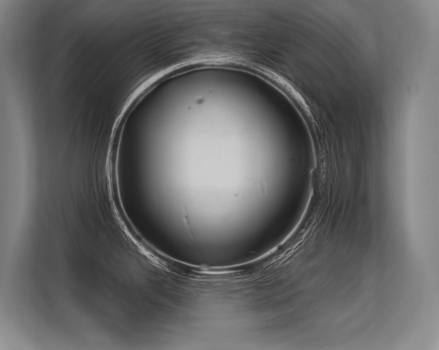 X0000113581343200909181259