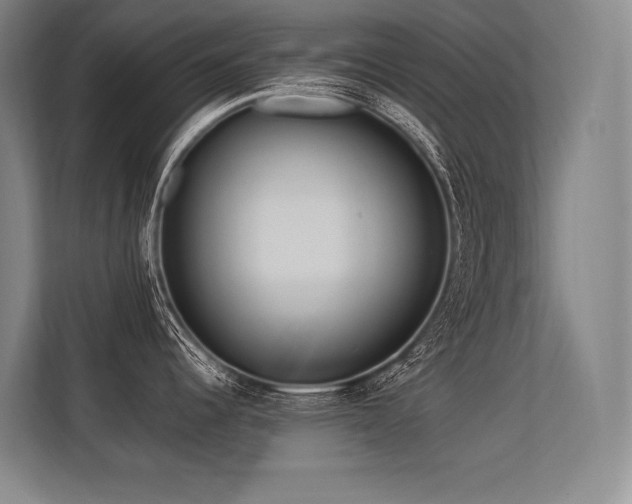 X0000113581344200909181259