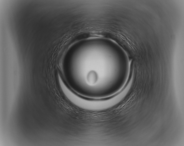 X0000113581345200909181259