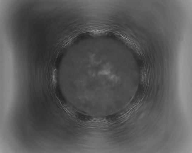 X0000113581346200909181259
