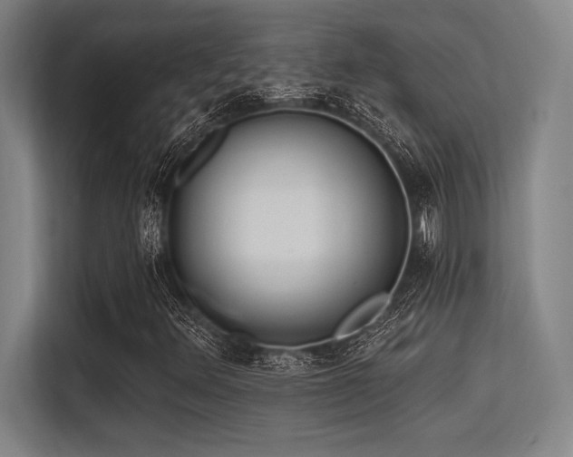 X0000113581348200909181259