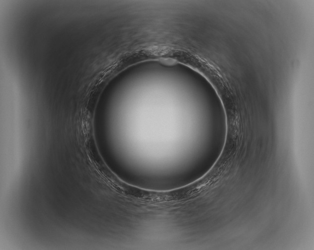 X0000113581349200909181259
