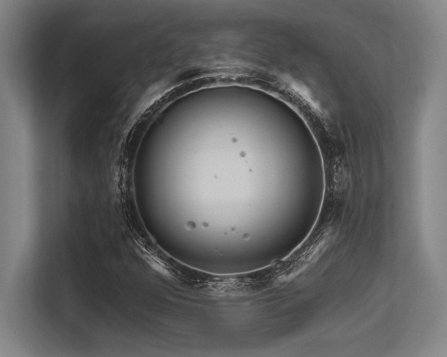 X0000113581352200909181259