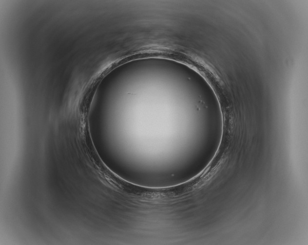 X0000113581355200909181259