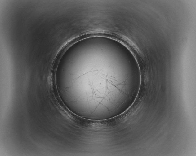 X0000113581356200909181259