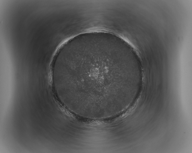 X0000113581358200909181259