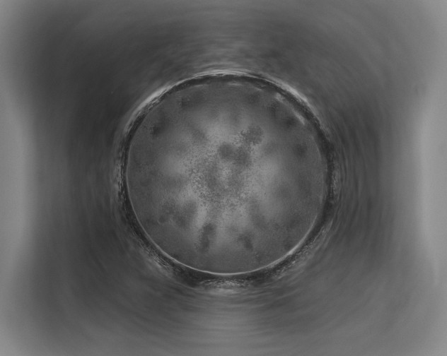 X0000113581359200909181259