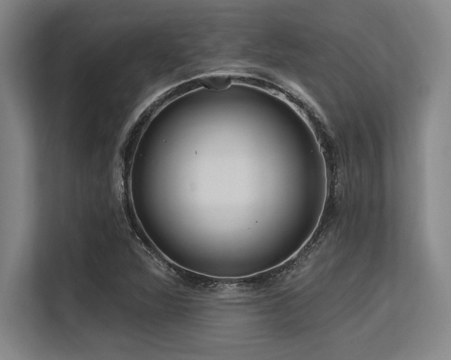 X0000113581360200909181259