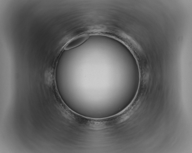 X0000113581361200909181259