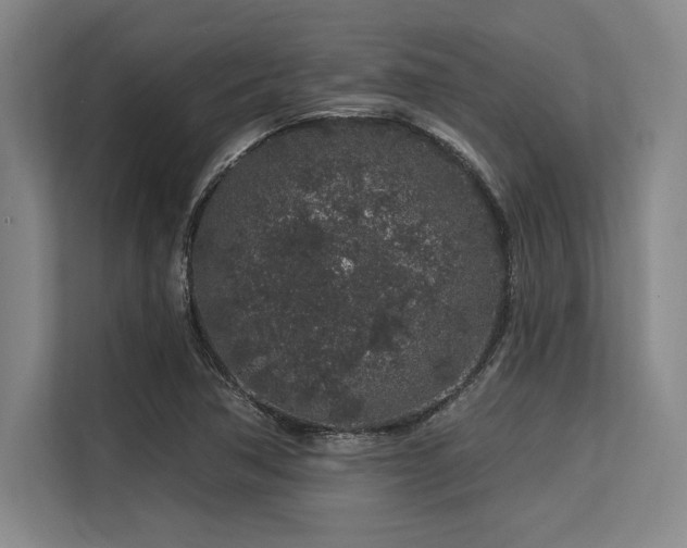 X0000113581362200909181259