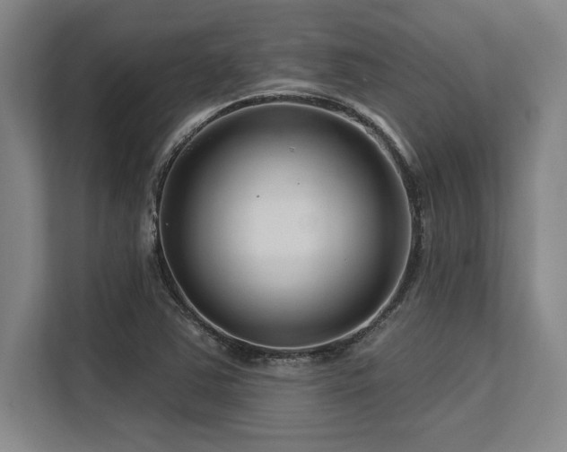 X0000113581363200909181259