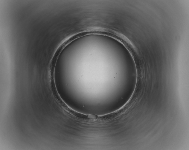 X0000113581364200909181259