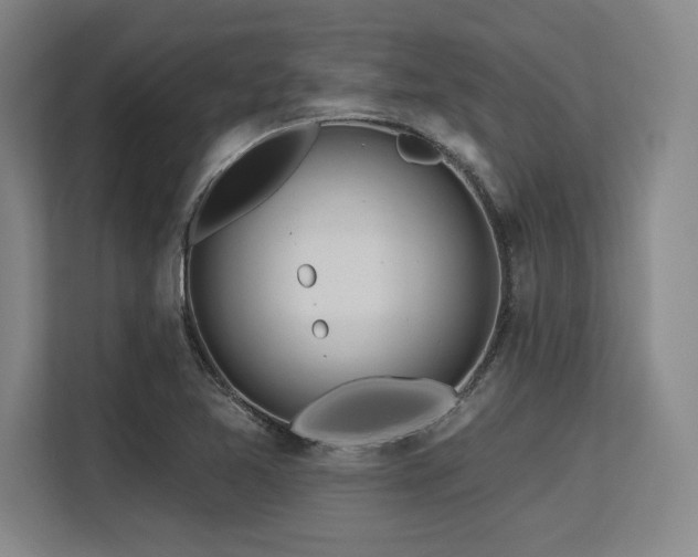 X0000113581365200909181259