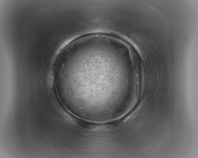 X0000113581367200909181259