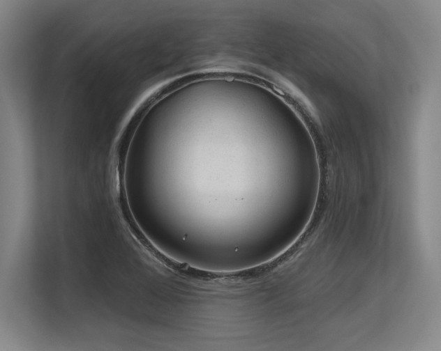 X0000113581368200909181259