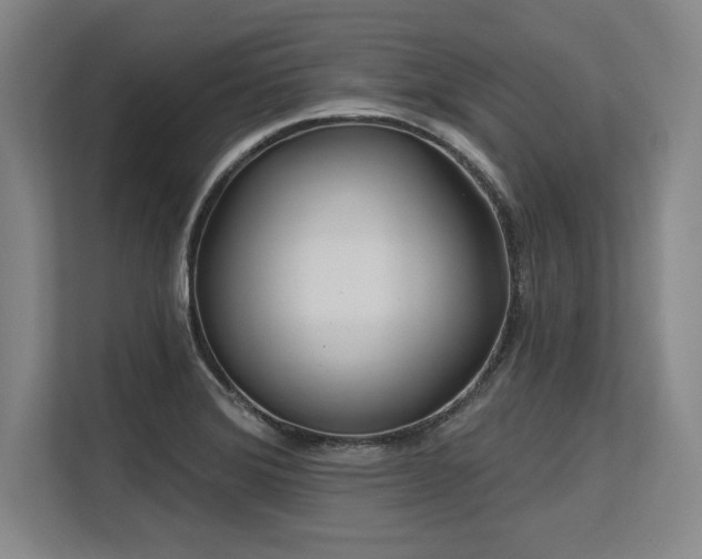 X0000113581372200909181259