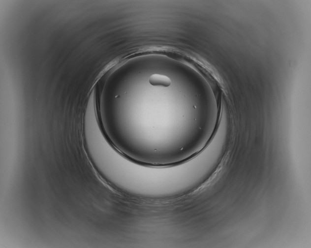 X0000113581377200909181258