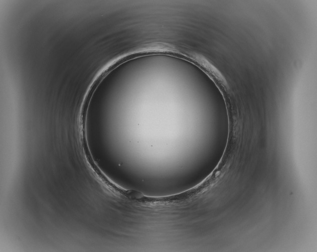 X0000113581380200909181258