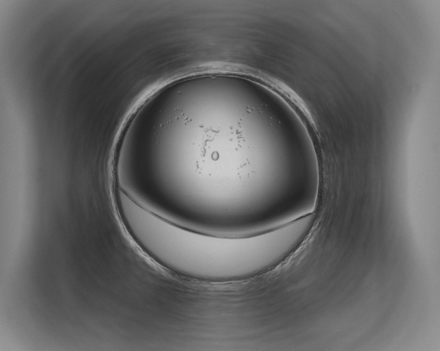 X0000113581381200909181258