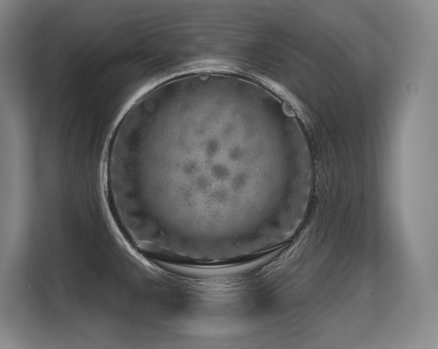 X0000113581383200909181258