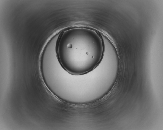 X0000113581384200909181258