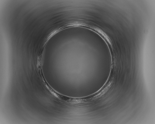 X0000113581385200909181258