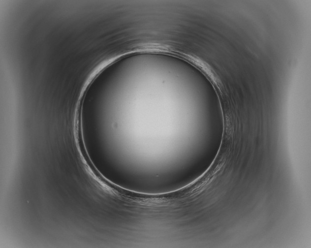 X0000113581387200909181258