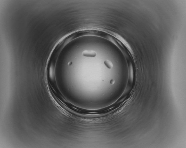 X0000113581388200909181258