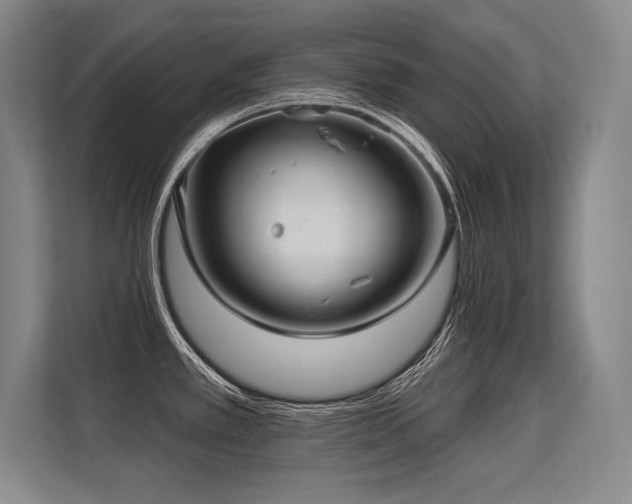 X0000113581389200909181258