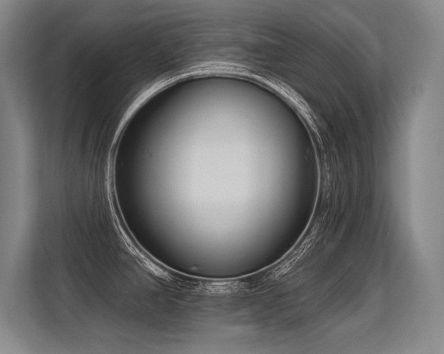 X0000113581390200909181258