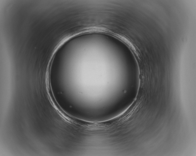 X0000113581391200909181258