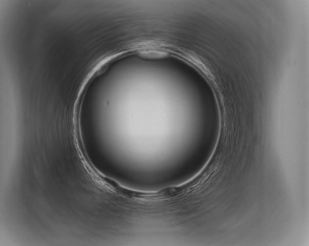 X0000113581392200909181258