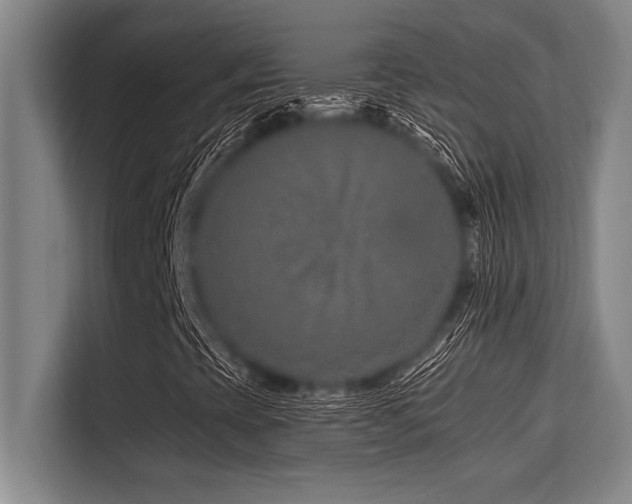 X0000113581393200909181258