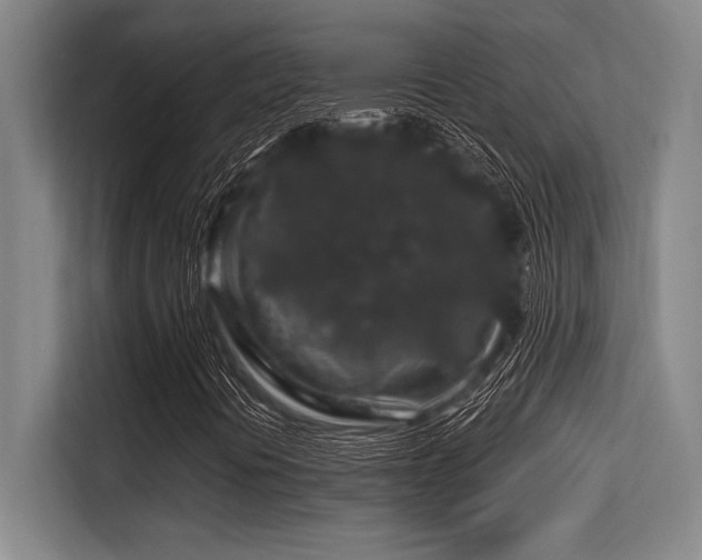X0000113581394200909181258
