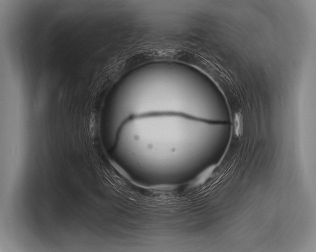 X0000113581395200909181258