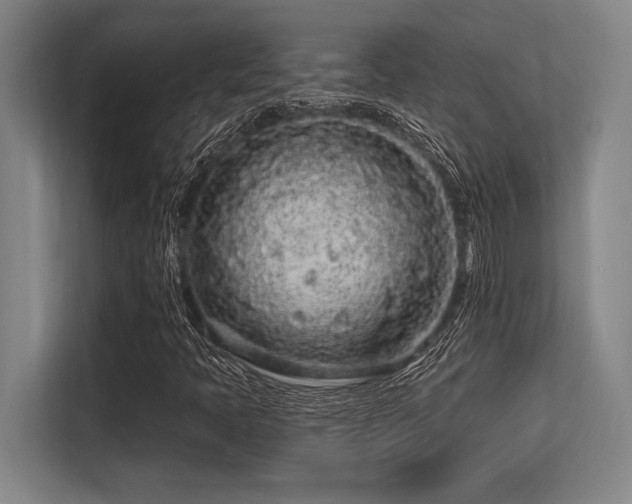 X0000113581397200909181258