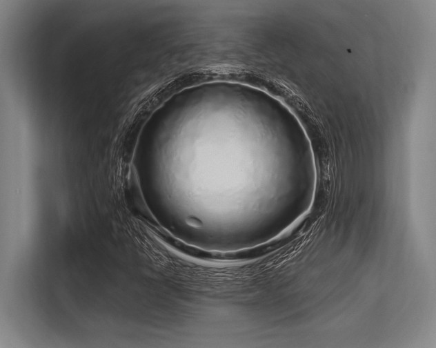 X0000113581398200909181258