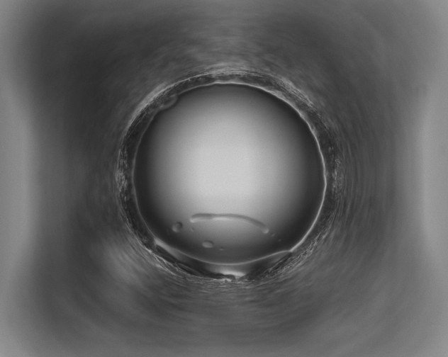 X0000113581400200909181258