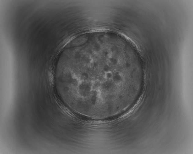 X0000113581401200909181258