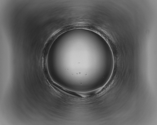 X0000113581402200909181258