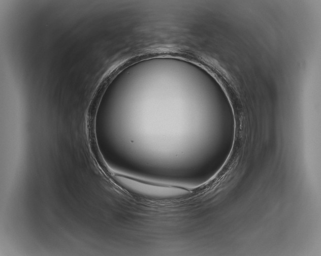 X0000113581404200909181258