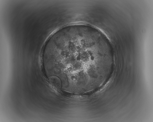 X0000113581405200909181258