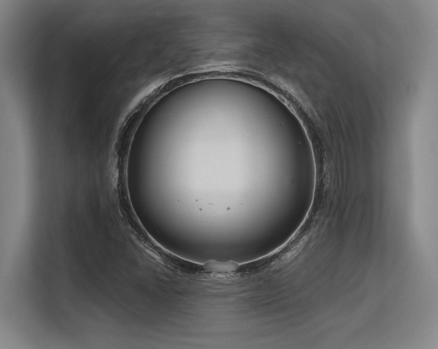 X0000113581406200909181258