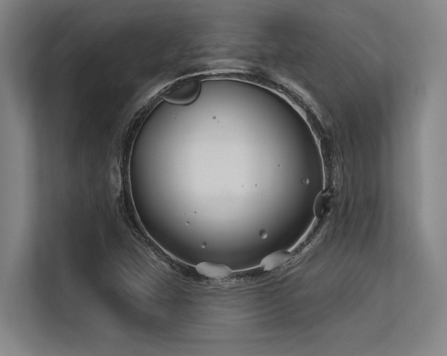 X0000113581407200909181258