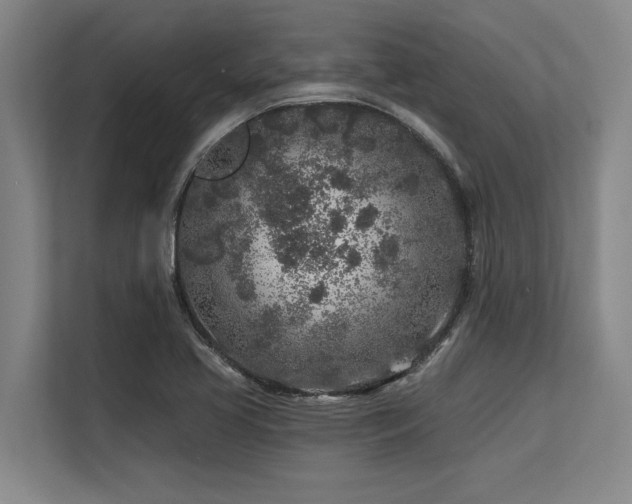 X0000113581413200909181258