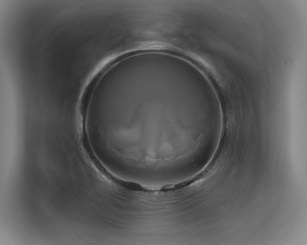 X0000113581414200909181258
