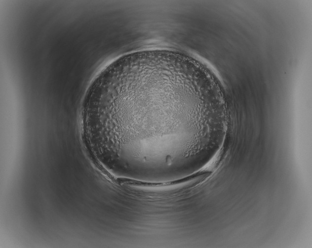 X0000113581415200909181258